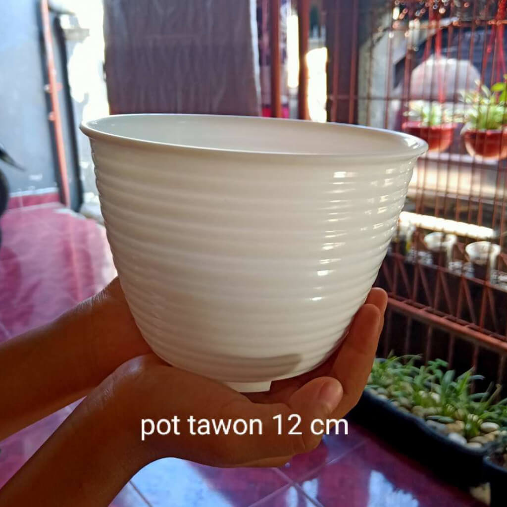 Pot tawon putih ukuran 12 cm