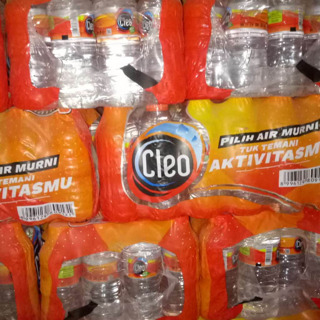 Cleo mini