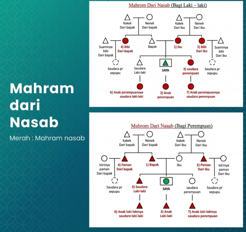 WhatsApp Image 2026-03-20 at 22.44.14.jpeg