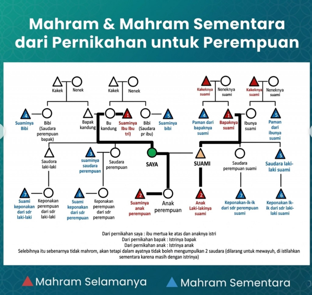 WhatsApp Image 2026-03-20 at 22.44.30.jpeg